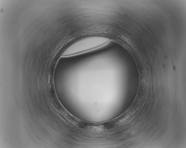 X0000054410548200507290859