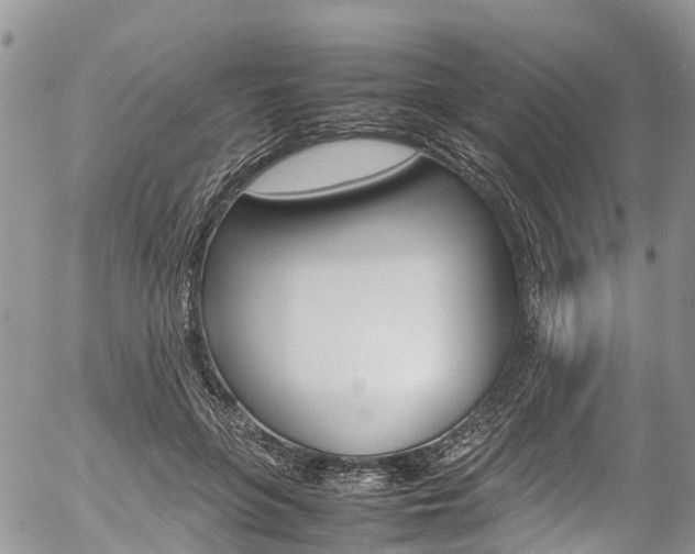 X0000054410551200507290859