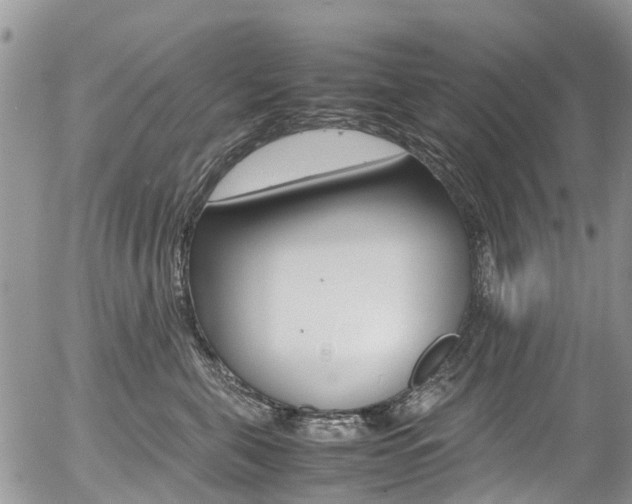 X0000054410571200507290859