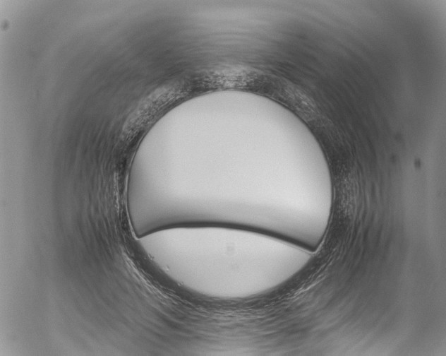 X0000054410594200507290858
