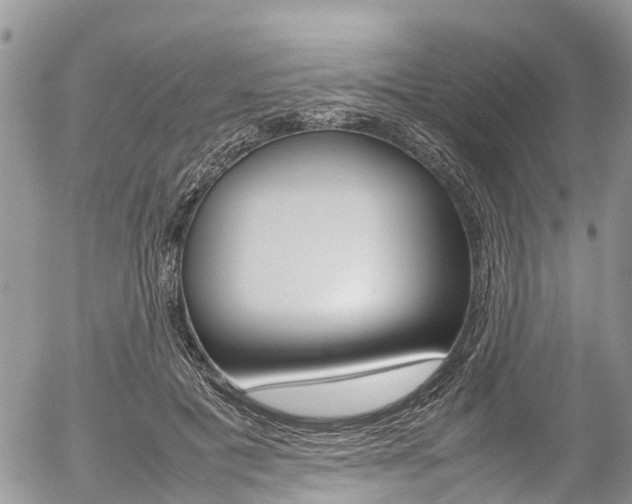 X0000054410601200507290858