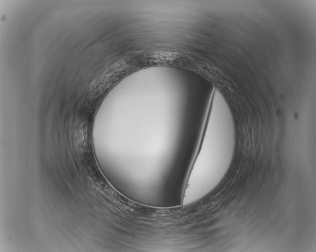 X0000054410608200507290858