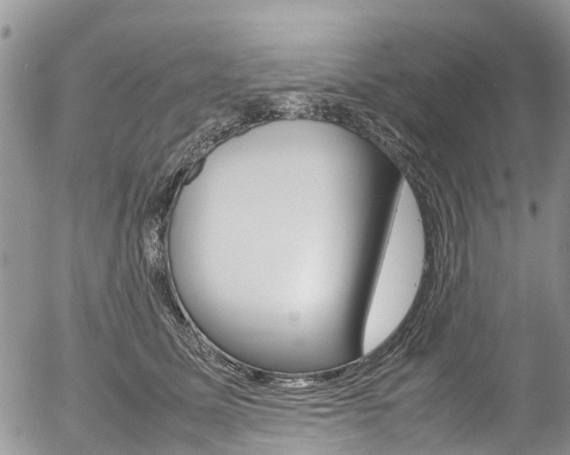 X0000054410611200507290858