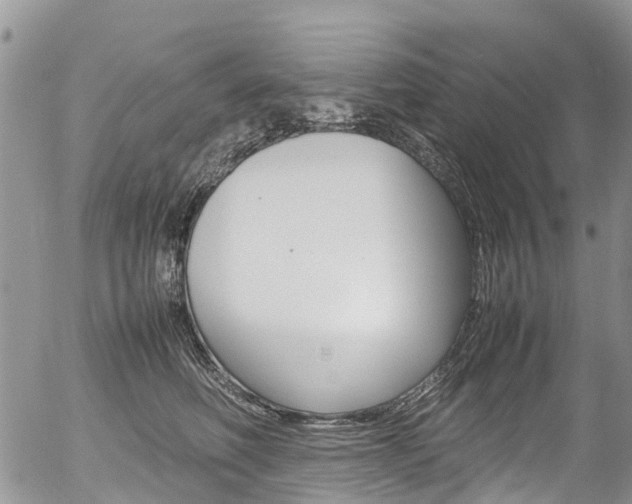 X0000054410614200507290858