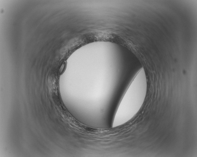 X0000054410619200507290858