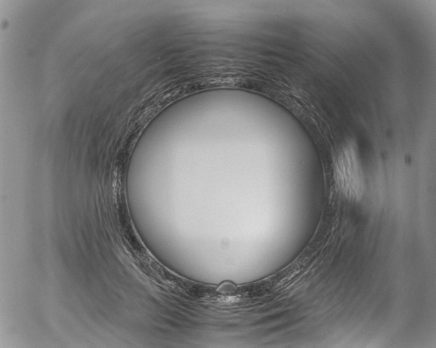 X0000054410647200507290858