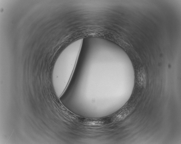 X0000054410657200507290858