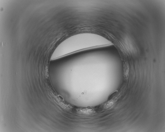 X0000054410669200507290858