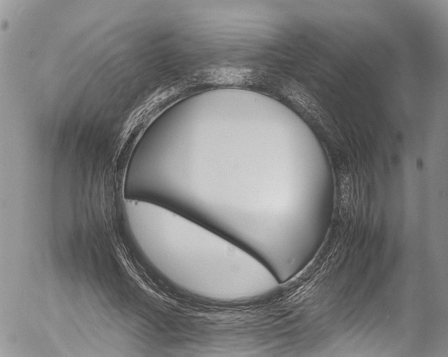 X0000054410682200507290857