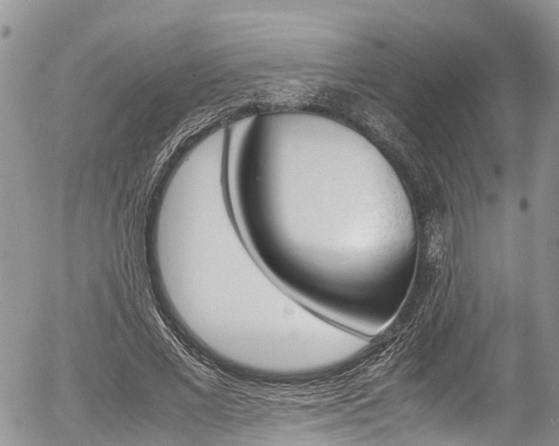 X0000054410685200507290857