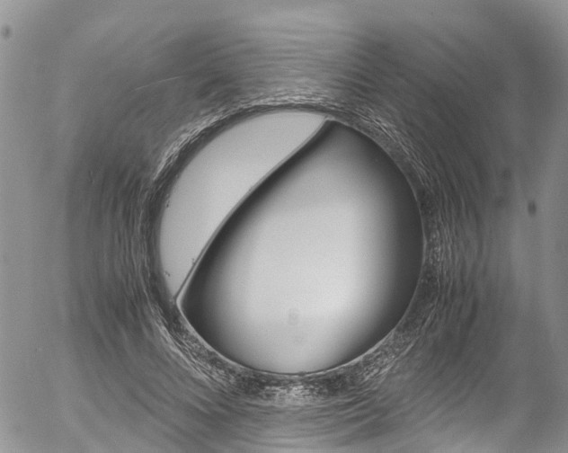 X0000054410688200507290857