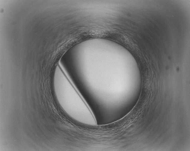 X0000054410689200507290857