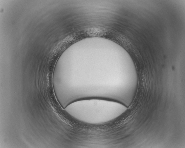 X0000054410690200507290857