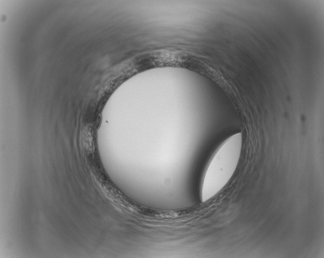 X0000054410715200507290857