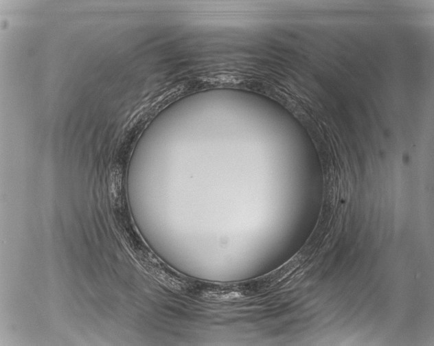X0000054410747200507290856