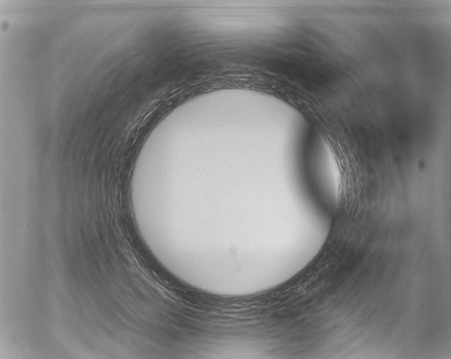 X0000054410750200507290856