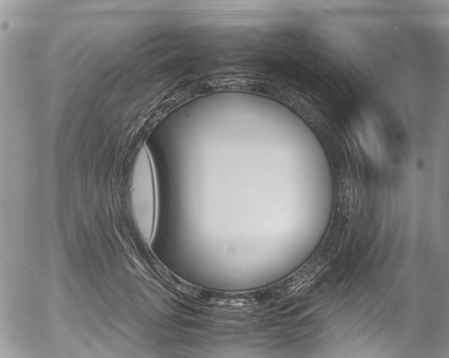 X0000054410751200507290856