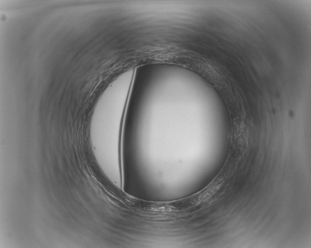 X0000054410752200507290856