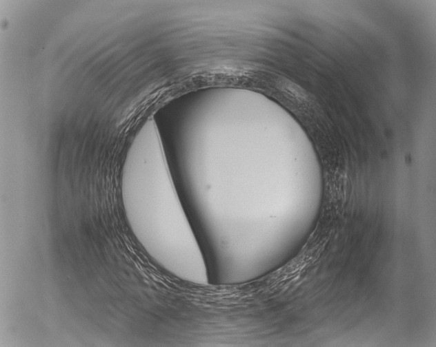 X0000054410774200507290856