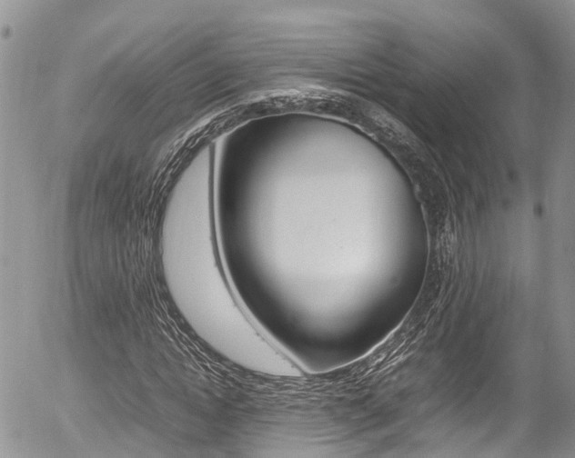 X0000054410822200507290854