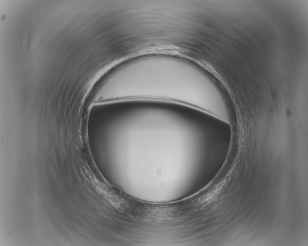 X0000054410830200507290854