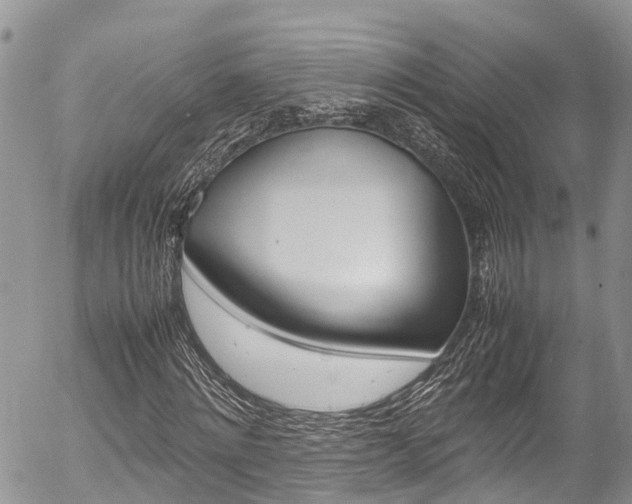 X0000054410868200507290854