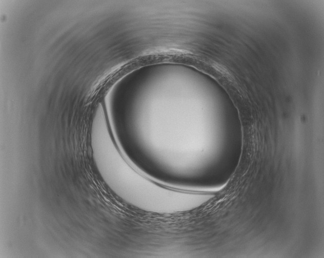 X0000054410872200507290854