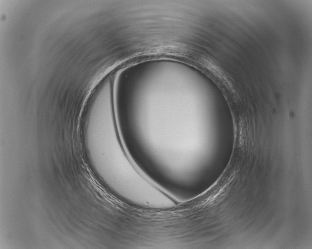 X0000054410876200507290854