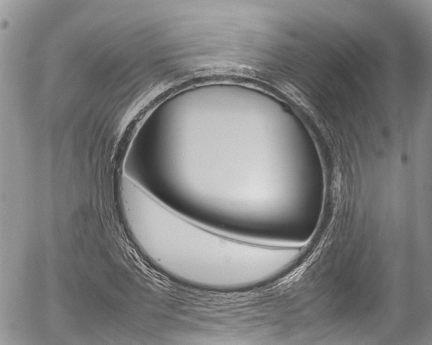 X0000054410877200507290854