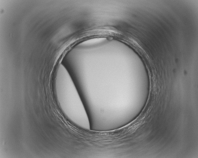 X0000054410883200507290854