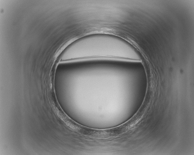 X0000054410885200507290854