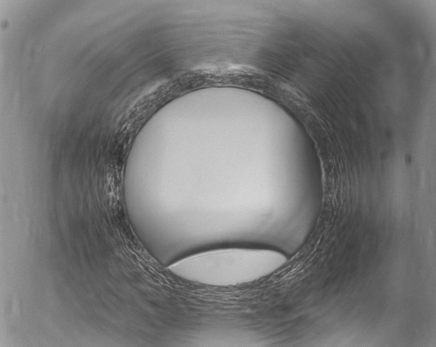 X0000054410966200507290852