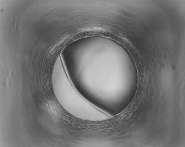 X0000054410967200507290852