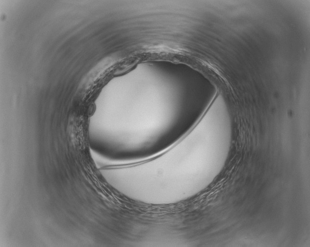 X0000054410968200507290852