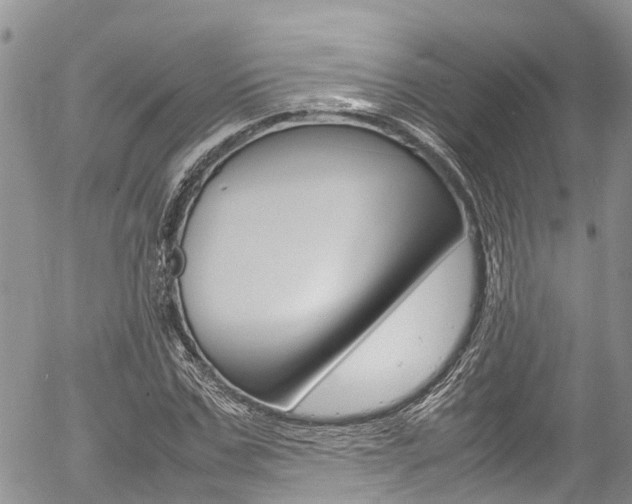 X0000054410971200507290852