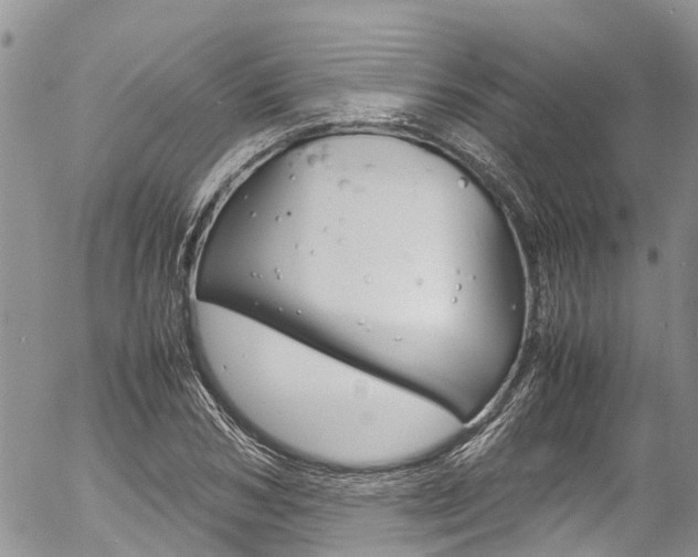 X0000054410978200507290852