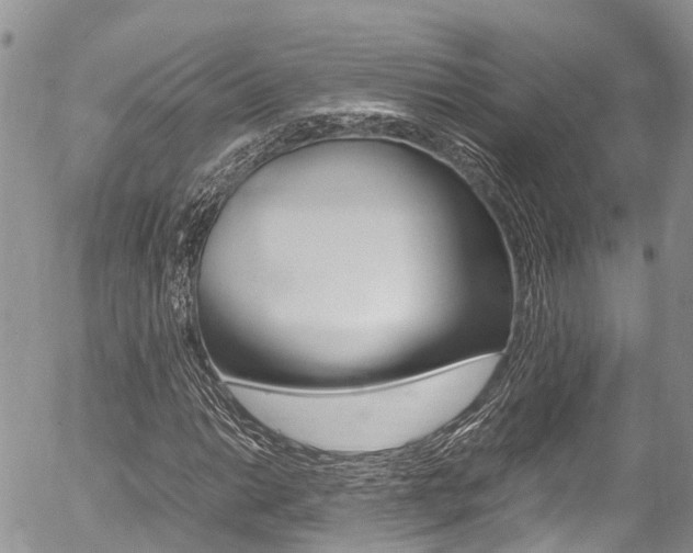 X0000054411014200507290851