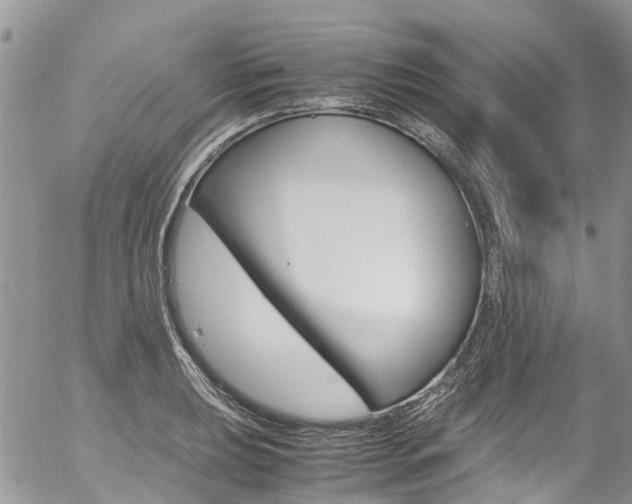 X0000054411039200507290851