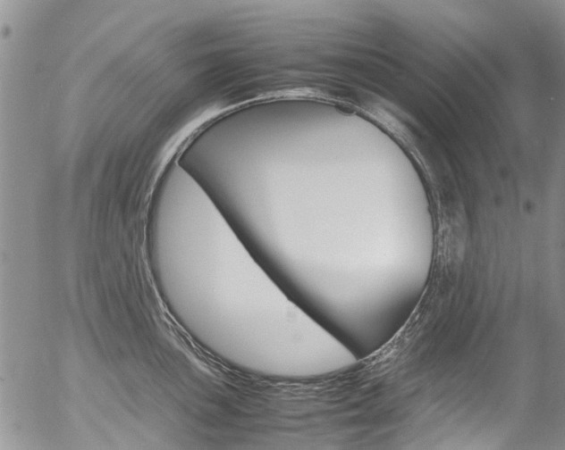 X0000054411051200507290852