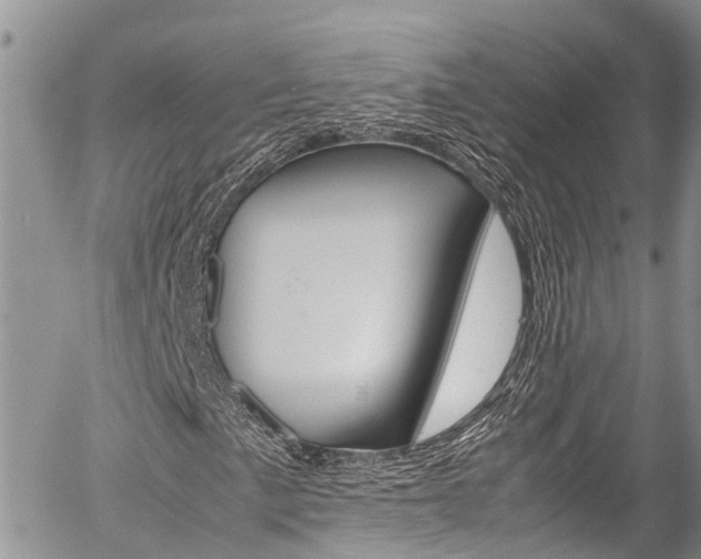 X0000054411057200507290851