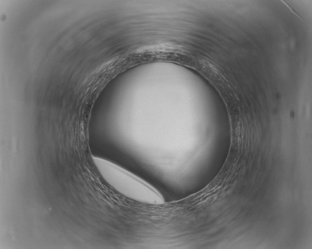 X0000054411062200507290851
