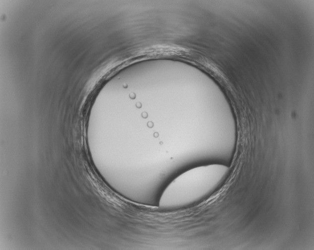 X0000054411075200507290851