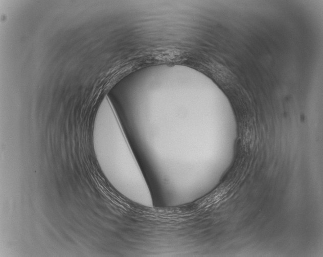X0000054411106200507290849