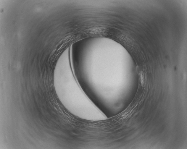 X0000054411107200507290849