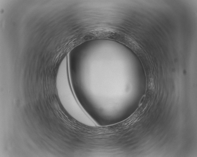 X0000054411108200507290849