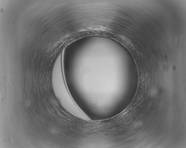 X0000054411110200507290849