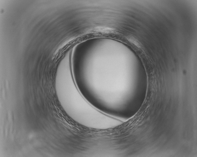 X0000054411112200507290849