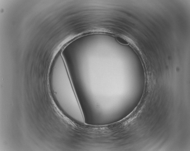 X0000054411133200507290850