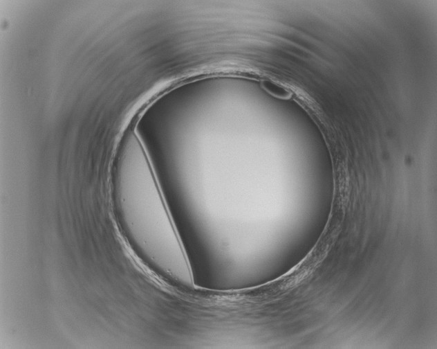 X0000054411134200507290850