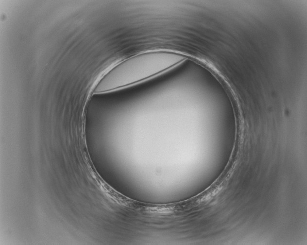 X0000054411145200507290850